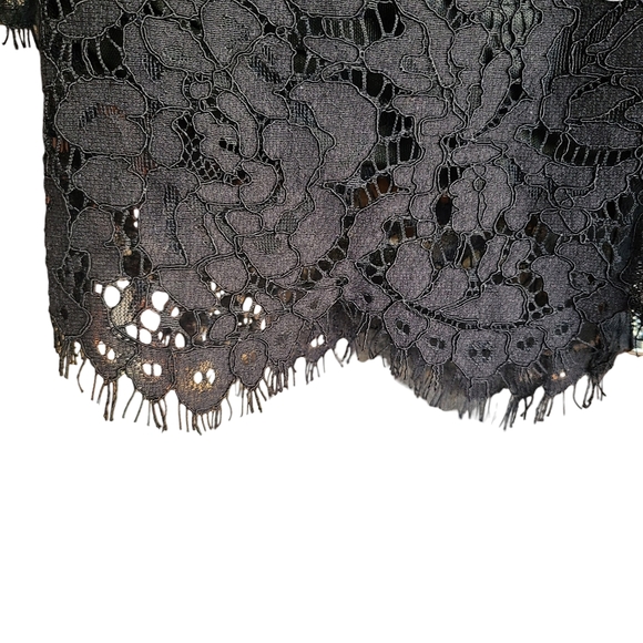 Black Lace Crop Blouse - Picture 9 of 12